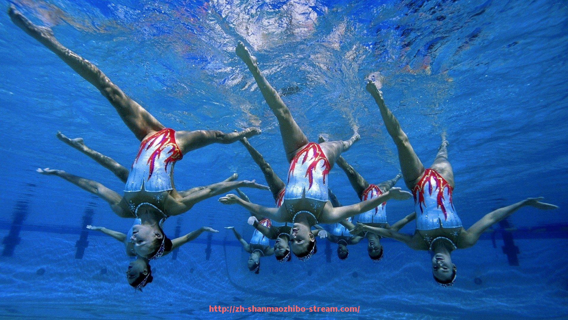 山猫直播官网-探索世俱杯商业合作中的利益分配机制与优化方案